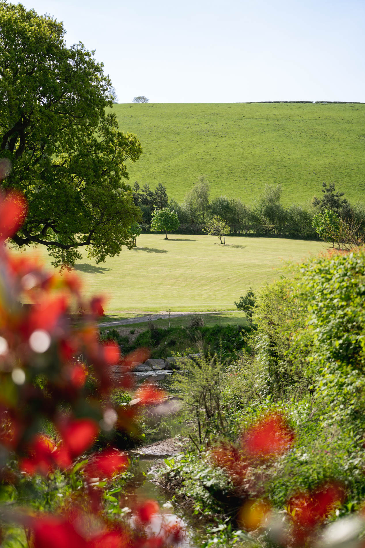 Escape to the Welsh countryside | Oakwood Valley Lodges