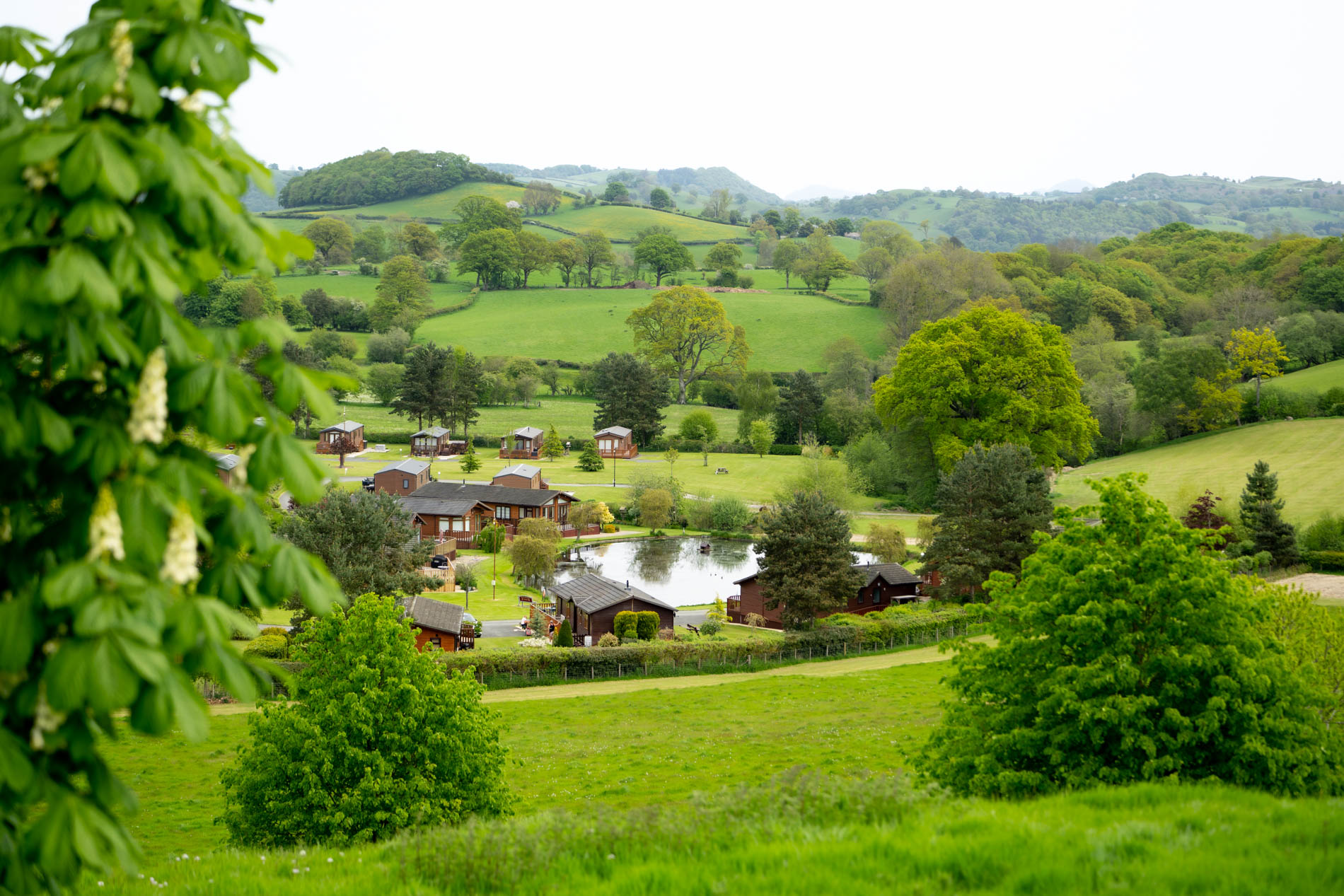 Lake Views | Oakwood Valley Lodges