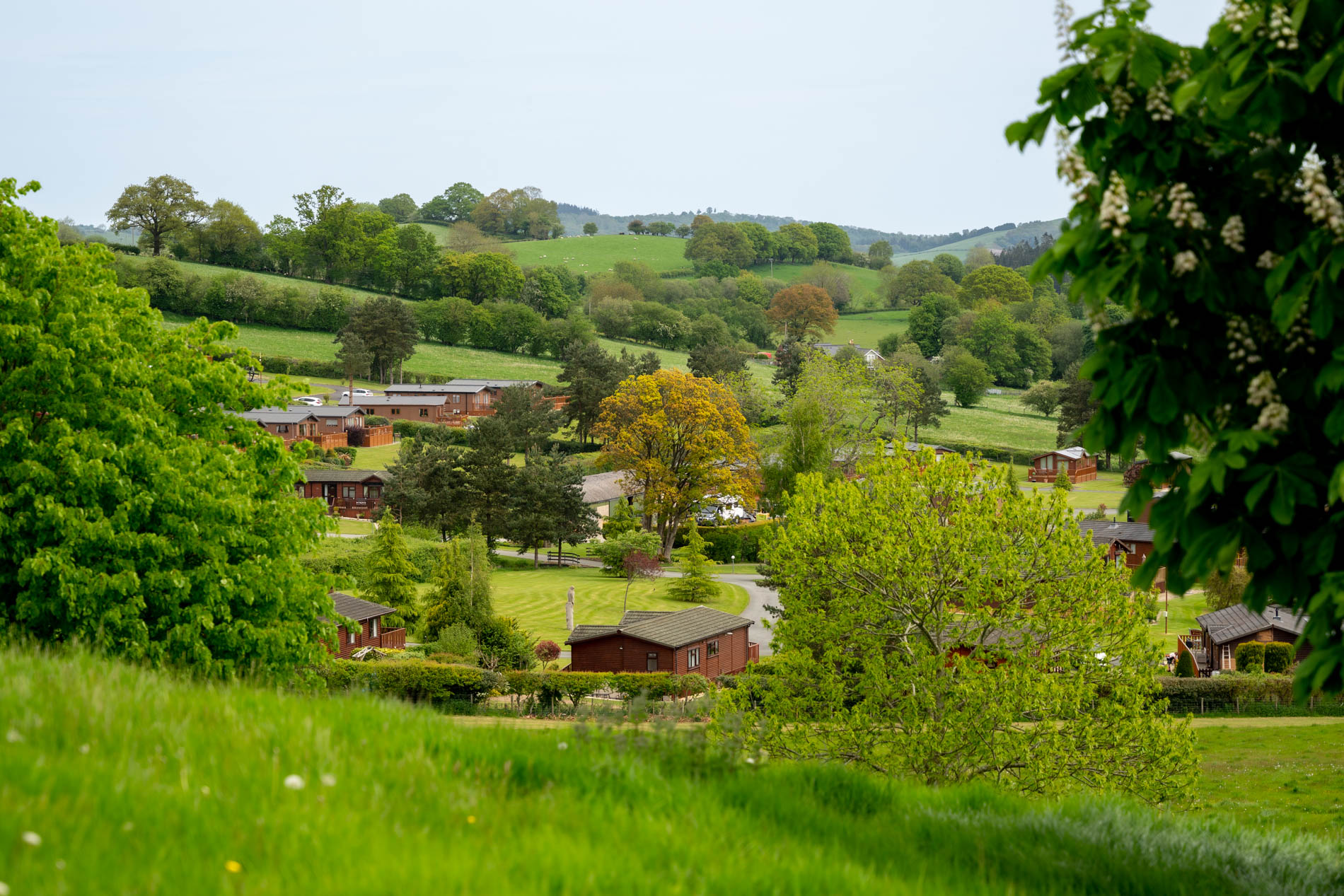 Local area | Oakwood Valley Lodges