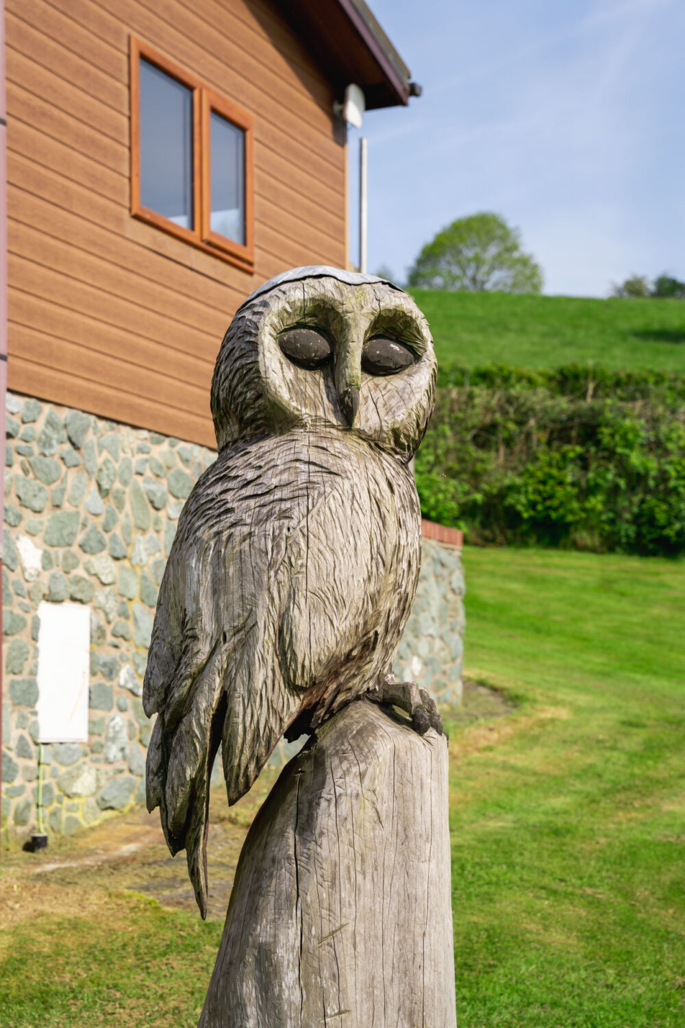 Owl | Oakwood Valley Lodges