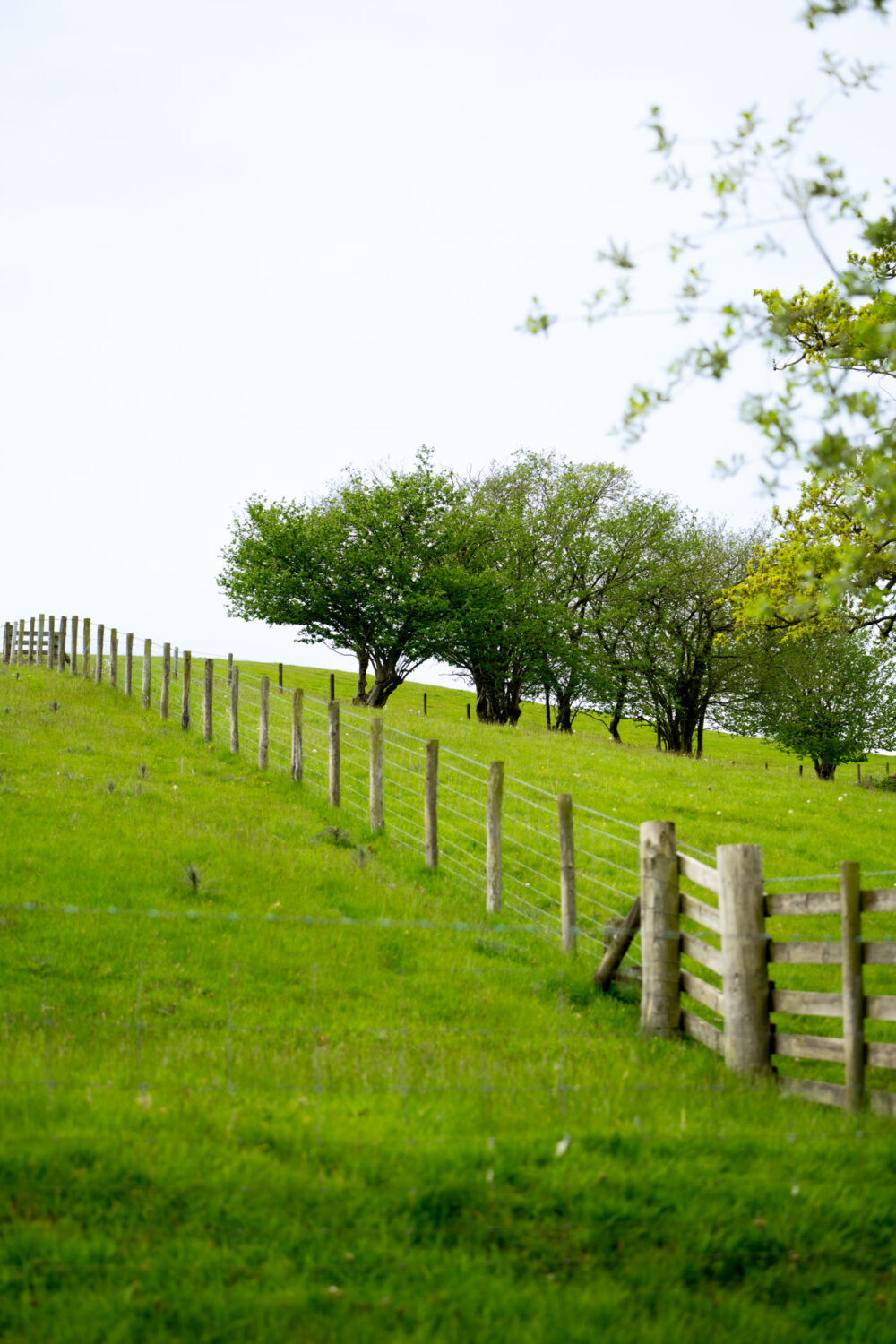 Welsh landscape | Oakwood Valley Lodges