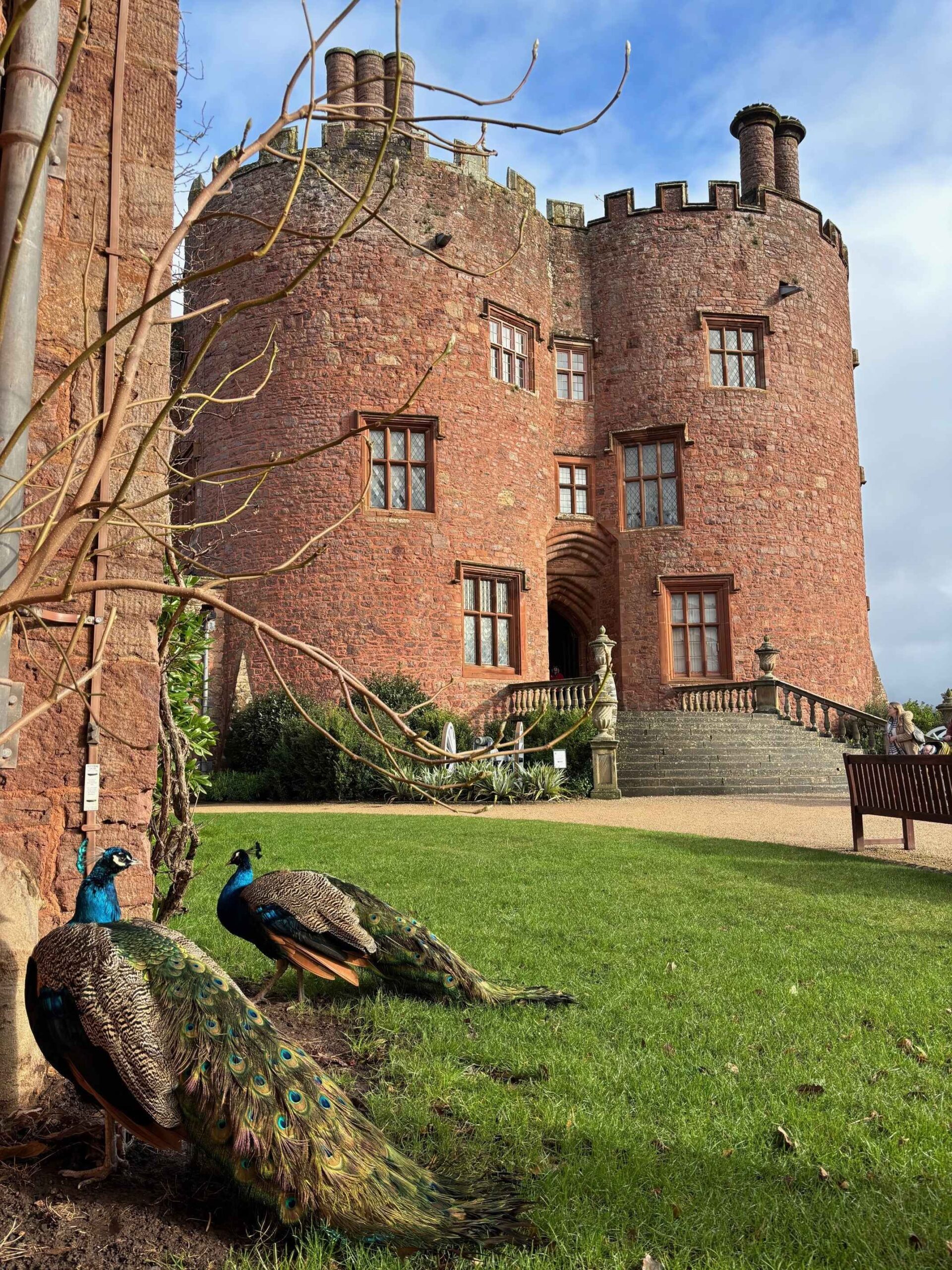 National Trust Properties near Welshpool