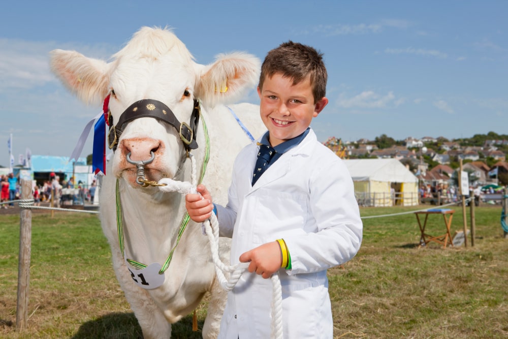 Royal Welsh Showground – Celebrate Rural Wales This May