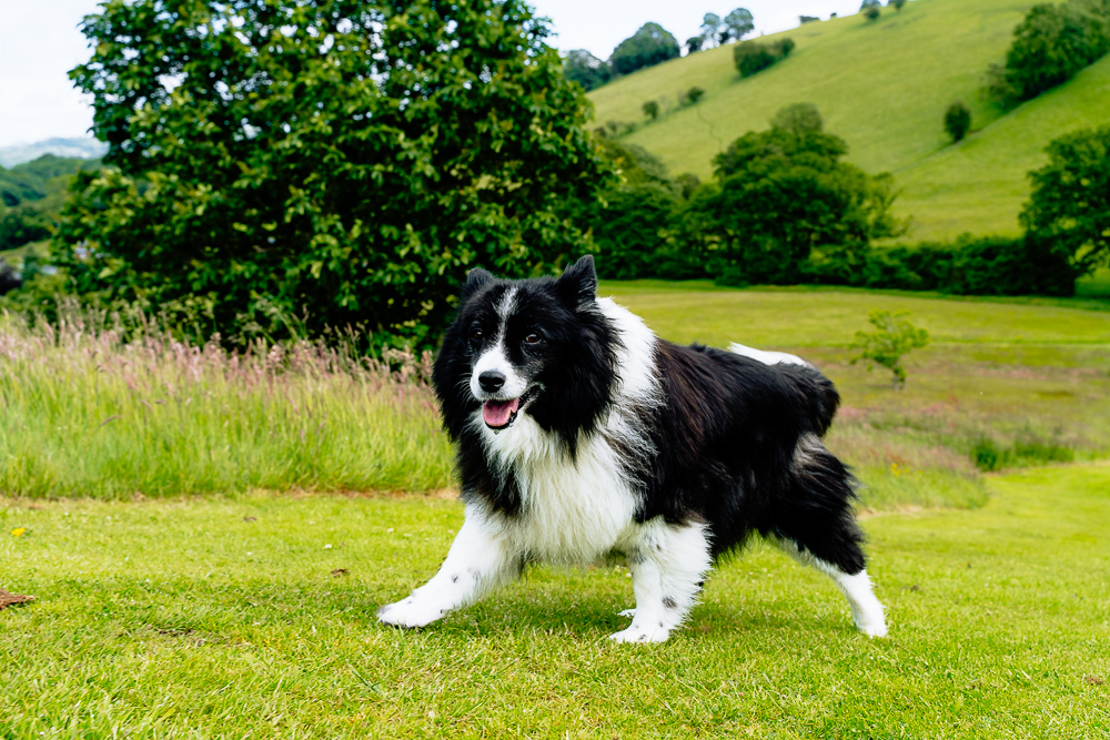Our Park | Oakwood Valley Lodges