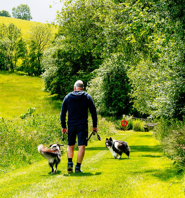 Oakwood_Valley_Lodges_Surroundings