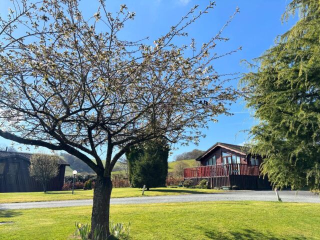 Another beautiful day in #MidWales 🌳🌞

•
•
•

#DiscoverYouPerfectEscape #HolidayHomes #Lodge #LodgePark #VisitWales #HolidayPark #Welshpool #CountrysideEscape #CouplesRetreat #Springtime #Nature