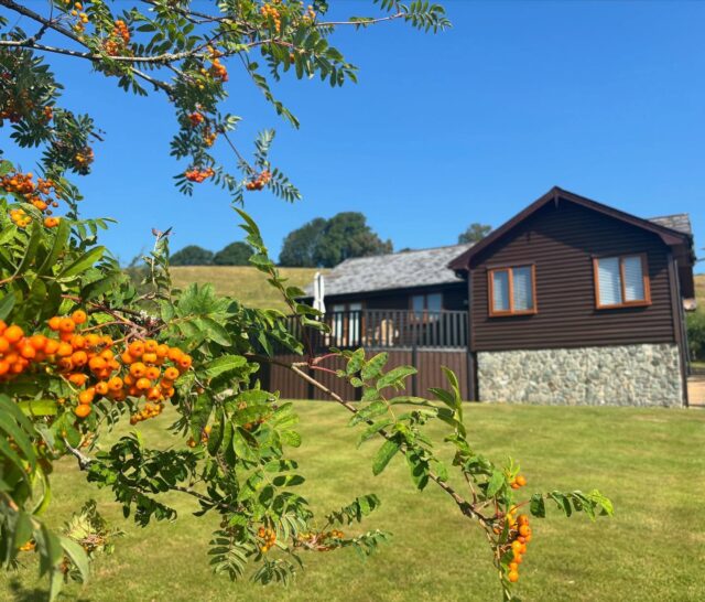 🏡Slow down, breathe deep and find your space among the rolling hills. Discover your own countryside retreat in the heart of #MidWales

#VisitWales #CountrysideRetreat #HolidayLodge #HolidayHome #StaycationUK #WilliamsLeisure #Welshpool #HolidayPark #LodgeLife #FindYourEscape #NatureEscape #HiddenGemWales